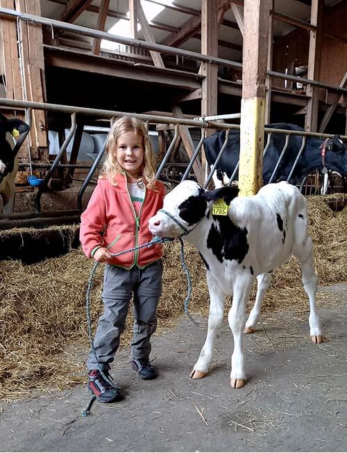 Mattenhof Kind mit Kalb